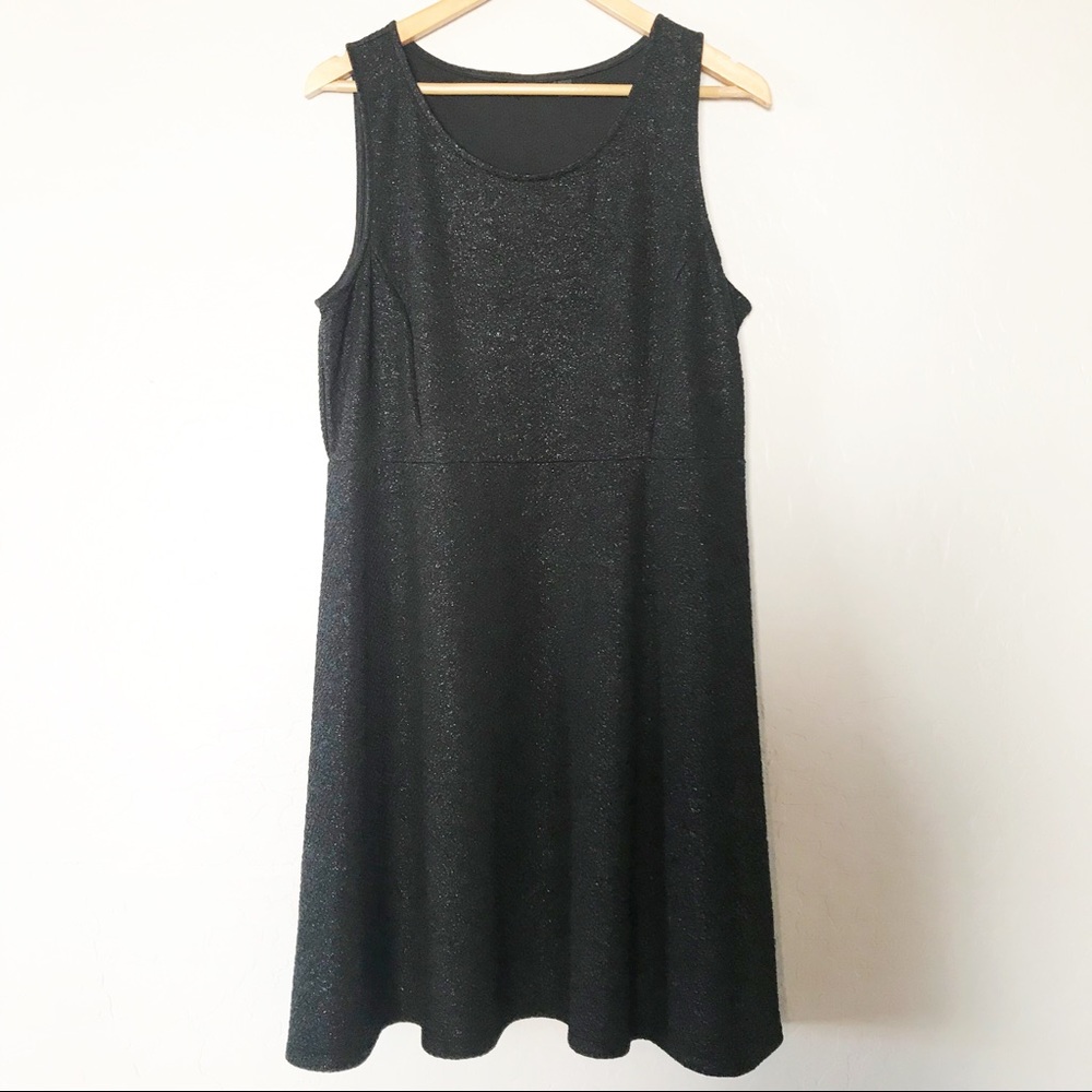 Sleeveless Black Crinkled Shimmer Skater Dress